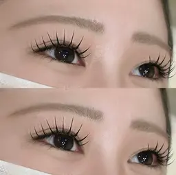 フラットラッシュ120本