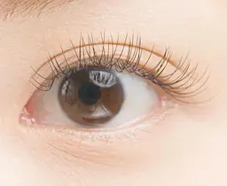 🧡[全員]セーブルラッシュ🧡　　　　　🍀80本　片目40本🍀[当店オフ無料]