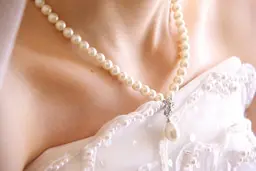 【1dayブライダル】小顔/美デコルテ/天使の羽/くびれ 90分コース★ ¥18000