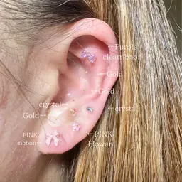 🉐迷ったらこれ🉐耳つぼジュエリー💎片耳7粒両耳14粒✨