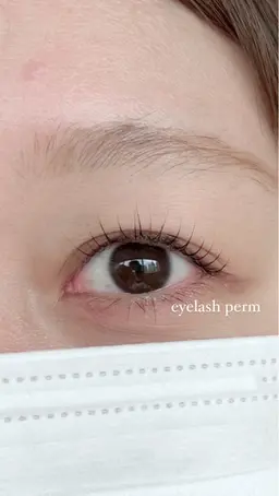 🦋【学割30%OFF】デザインラッシュリフト《自然なデザインから華やかなデザインまで✨》🦋