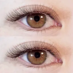 《濃密仕上げ✨》ボリュームラッシュ80束（240本）