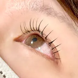 フラットラッシュ120本