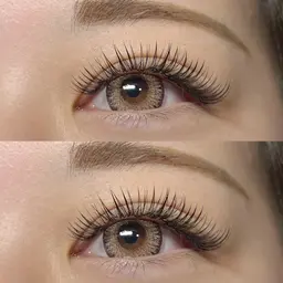 Volume Lash 400本𓂃