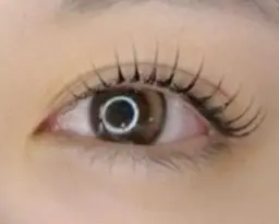 👀　1月27日限定　9時半、13時 LEDマツエク　パリエクオフ込みフラットラッシュ最大１００本