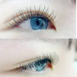 (オフ無料)新導入★話題フラットラッシュ　DDカール、Lカール、LJ・LC・LDカール100本