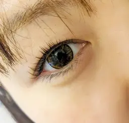 《ラッシュリフト》💜5500円→3300円/エクステオフ代別途