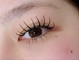 【open記念価格】フラットラッシュ 80本