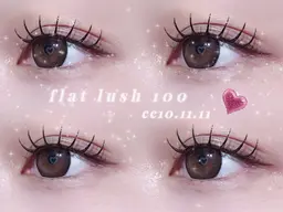 🤍FLATLUSH100本‎🤍