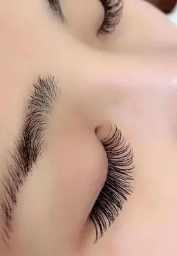 最高級セーブル120本