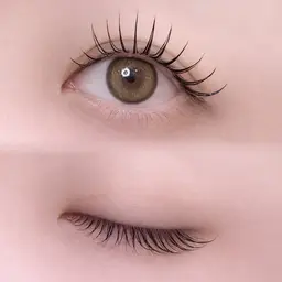 アップワード＋フラットラッシュ100本🪽オフ/コーティング無料🫧