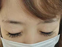 フラットラッシュ(120本まで)つけ放題オフなし