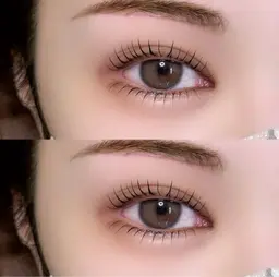 🎀 ご新規様 🎀 上下set｜パリジェンヌ orラッシュリフト｜ブラックティント追加可◎