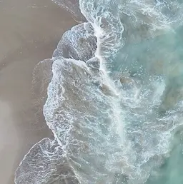 フットワンカラー⭐️フットシャンプー＆バス付【ジェルオフ無料】