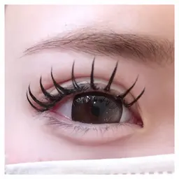 ダブルフラット40束 (オフなし)コーティング剤付き💭🌙