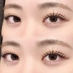 《ご新規様限定》フラットマットラッシュ160本✨️