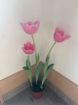 💌メッセージが届いた方💌