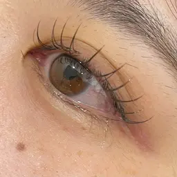 《リピーター様限定》  付け足し40本​〜​60本LED、Wラッシュに変更可能＋1000円