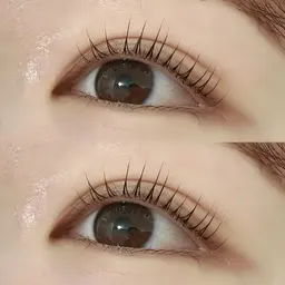 🫧 コーティング仕上げ パリジェンヌラッシュリフト 🫧