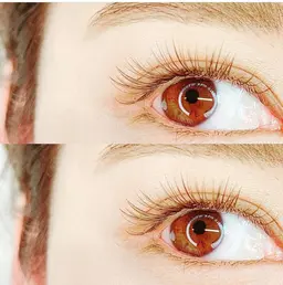 ニュアンスeye❤︎透け感ロイッシュカラーラッシュ100本❤︎フラットラッシュ