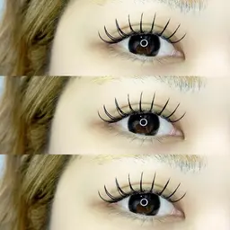 フラットラッシュ 120本