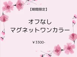 【期間限定】オフなし　マグネットワンカラー　¥3300