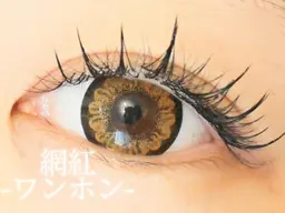 SNS話題💖束感まつ毛✨【ワンホンマツエク】ボリュームラッシュ300本＋フラットラッシュ60本