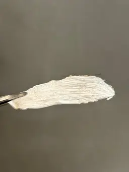 【ポイントフェイスWax🌼50%off💕】計３ヶ所(眉間、目の下、鼻下、鼻、口下、もみあげの中から)撮影モデル