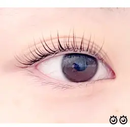 当日割☆まつげパーマ