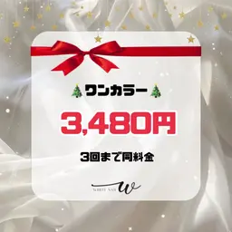 🎄ミニモ限定🎄ワンカラー【3回まで同料金】💠初回オフ込
