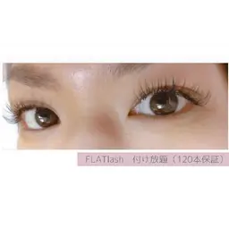 フラットラッシュ （軽い&長持ち)  上 つけ放題　6600円 【オフなし】