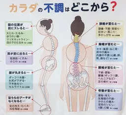 【整体人気No.1】✨全身骨格調整✨美姿勢で不調改善&免疫UP‼︎そしてお肌トラブルにも◎(骨盤調整含)