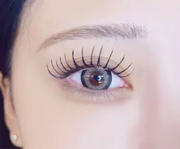 【当日限定】フラットラッシュ120本