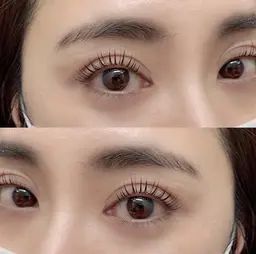 ワンホン（束感）まつエクデザイン💕ナチュラル120本🫧🫧