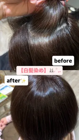 🍒ミニモ限定🍒白髪染め【リタッチ】