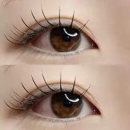 【大人気🎀】韓国風束感マツエク100本（業界最軽量フラットラッシュ🫧𓂃）《オフなしorオフあり◎》