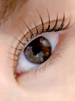 【撮影ご協力】似合わせまつ毛パーマ（現金のみ）※撮影イメージの都合上、20代​〜​40代前半の方を目安とさせていただきます。