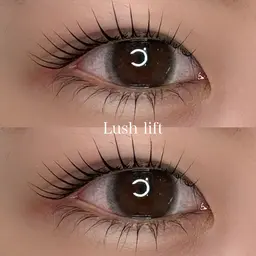 限定(練習モデル)マツパ