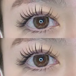 🎀 フラットラッシュ 160本 🎀 (オフ代+コーティング仕上げ込) 🤎 ブラウン 8030円 🤎