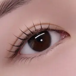 【新規限定】似合わせまつ毛パーマ（ラッシュリフト）