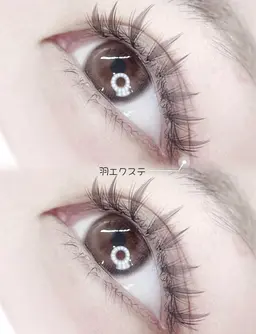 【練習モデル募集】羽エクステ🪽🫧両目10本