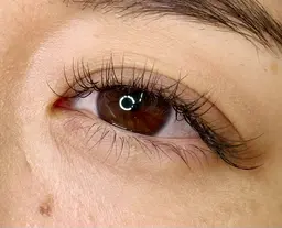 【12/20まで期間限定】🌸フラットラッシュ100本🌸