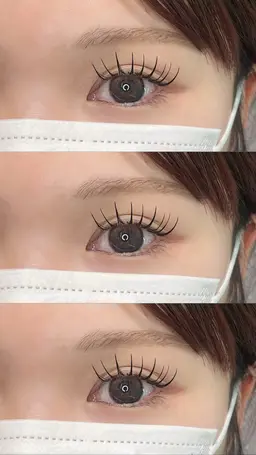 27日限定 / バインドロック80束orフラット120本 / オフ無料