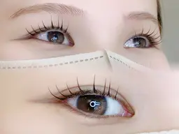 【講習会モデル1/21(水) 12:30​〜​】LEDパリエク60本(オフなし)