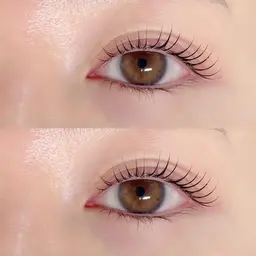 【新規】ラッシュリフト💗立ち上げ/カールなどお選びいただけます！