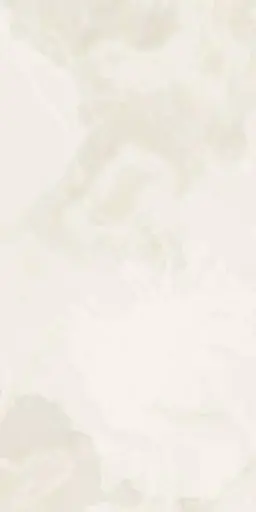 他店様オフのみ　(ハードジェル・スカルプ)