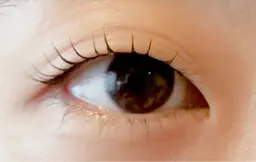 上下まつ毛パーマ練習モデル