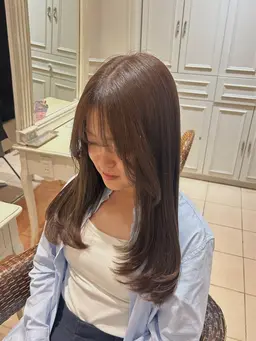 【半額モデル カット、シングルカラー】