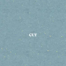 【レディース限定】カット+うる艶トリートメント