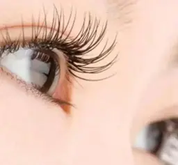 学割平日限定！フラットラッシュ 120本オフ＋550円土日祝＋300円(現金のみ）